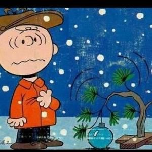 Meet your Posher, Collin